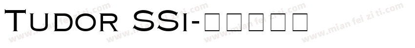 Tudor SSi字体转换